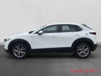 Gebraucht Mazda CX-30 Selection 122 PS (89 kW) 2023 Weiss SUV