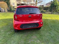 Gebraucht Kia Picanto Edition 7 67 PS (49 kW) 2019 Rot Kleinwagen