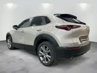 Gebraucht Mazda CX-30 Selection 122 PS (89 kW) 2023 Platinum quartz SUV