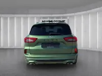 Gebraucht Ford Kuga ST-Line 186 PS (136 kW) 2024 Grün SUV