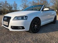 Gebraucht Audi A3 Cabriolet S-Line 140 PS (102 kW) 2012 Weiß Cabrio