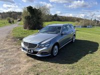 Gebraucht Mercedes E200 Elegance 184 PS (135 kW) 2013 Grau Kombi