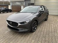 Neu Mazda CX-30 Sky 140 PS (102 kW) 2026 Grau SUV