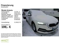 Gebraucht Skoda Octavia First Edition 116 PS (85 kW) 2021 Candyweiss Kombi
