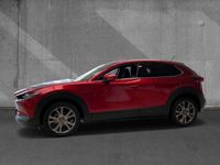 gebraucht Mazda CX-30 2.0 186PS GS Exclusive-Line Matrix 360 Bose