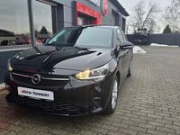 Gebraucht Opel Corsa Basis 75 PS (55 kW) 2023 Schwarz Kleinwagen