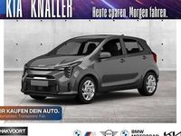 Gebraucht Kia Picanto Vision 68 PS (50 kW) 2024 Grau Kleinwagen