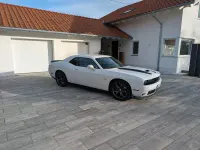 Usata Dodge Challenger 377 CV (277 kW) 2019 Bianco Coupé