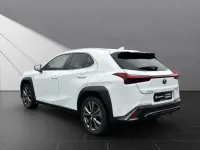 Begagnad Lexus UX 184 HK (135 kW) 2023 Vit SUV