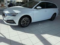 Gebraucht Skoda Octavia Ambition 150 PS (110 kW) 2022 Moonweiß perleffekt Kombi