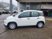 Gebraucht Fiat Panda 69 PS (50 kW) 2022 Colore esterno (weiss) Kleinwagen