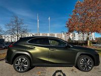 Gebraucht Lexus UX 250h 184 PS (135 kW) 2023 Grün SUV