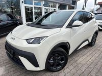 Neu BYD Dolphin Surf Comfort 114 kW (156 PS) 2026 Beige Kleinwagen