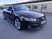 Gebraucht Audi A5 Cabriolet Ambiente 211 PS (155 kW) 2010 Braun Cabrio