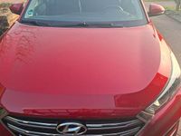 Gebraucht Hyundai Tucson 141 PS (103 kW) 2017 Rot SUV
