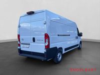 Gebraucht Toyota Proace 140 PS (102 kW) 2024 Weiss Van / Kleinbus