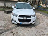 Gebraucht Chevrolet Captiva 184 PS (135 kW) 2012 Weiß SUV