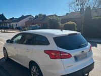 Gebraucht Ford Focus Titanium 125 PS (91 kW) 2016 Weiß Kombi