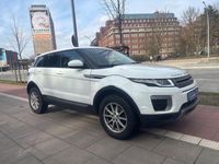 Gebraucht Land Rover Range Rover evoque Pure 150 PS (110 kW) 2017 Weiß SUV