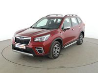 Gebraucht Subaru Forester Trend 150 PS (110 kW) 2020 Rot SUV