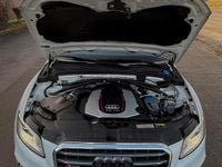 Gebraucht Audi SQ5 Competition 326 PS (239 kW) 2016 Weiß SUV