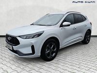 Neu Ford Kuga ST-Line 186 PS (136 kW) 2026 Frozenwhite SUV