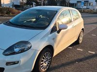 Gebraucht Fiat Punto 60 PS (44 kW) 2012 Weiß Kleinwagen