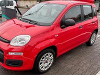 Gebraucht Fiat Panda 69 PS (50 kW) 2019 Rot Kleinwagen