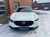 Gebraucht Mazda CX-30 Selection 186 PS (136 kW) 2021 Weiß SUV