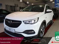 Gebraucht Opel Grandland X Business Innovation 181 PS (133 kW) 2019 Jade weiss/arktis weiss SUV