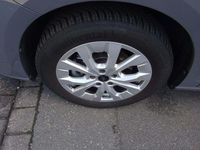 Gebraucht Ford Tourneo Titanium 116 PS (85 kW) 2024 Comet grey Van / Kleinbus