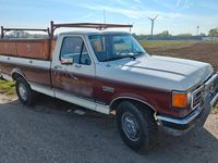 Gebraucht Ford V8 209 PS (153 kW) 1989 Beige Pickup
