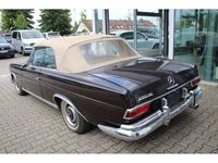 Gebraucht Mercedes 250 SE 150 PS (110 kW) 1966 Braun (metallic) Cabrio