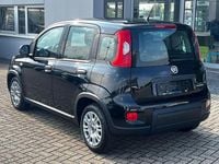 Gebraucht Fiat Panda 69 PS (50 kW) 2024 Cinema schwarz Kleinwagen