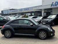 Gebraucht VW Beetle Allstar 105 PS (77 kW) 2016 Schwarz Kleinwagen