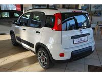 Gebraucht Fiat Panda 71 PS (52 kW) 2022 Nr. 296 / weiß Kleinwagen