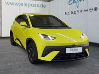 Neu BYD Dolphin Surf Comfort 114 kW (156 PS) 2025 Hellgruen Kleinwagen