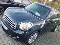 Gebraucht Mini Cooper Paceman 122 PS (89 kW) 2014 Grün SUV