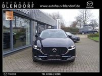 gebraucht Mazda CX-30 Selection 122 360° Monitor|Navigation|Login