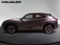 Second-hand Lexus UX 2023 Gri SUV