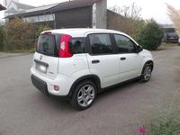 Gebraucht Fiat Panda 69 PS (50 kW) 2024 Weiß Kleinwagen