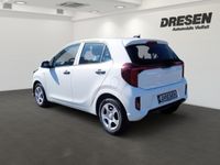 Neu Kia Picanto Edition 7 63 PS (46 kW) 2025 Ud)clear white (weiss Kleinwagen