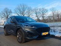 Gebraucht Ford Kuga ST-Line 224 PS (164 kW) 2024 Grau SUV