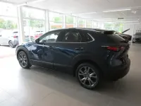 Gebraucht Mazda CX-30 Selection 179 PS (131 kW) 2020 Blau SUV