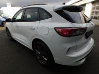 gebraucht Ford Kuga 2.0 EcoBlue ST-Line X #Automatik #Dachhimmel #