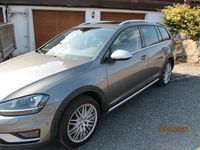 Gebraucht VW Golf Alltrack 184 PS (135 kW) 2016 Grau Kombi