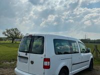 Gebraucht VW Caddy Maxi 102 PS (75 kW) 2010 Weiß Van / Kleinbus