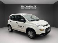 Gebraucht Fiat Panda 70 PS (51 kW) 2024 Andere Limousine