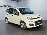 Gebraucht Fiat Panda Easy 69 PS (50 kW) 2020 Weiss Kleinwagen