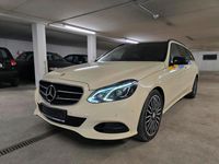 Gebraucht Mercedes E220 170 PS (125 kW) 2016 Beige Kombi